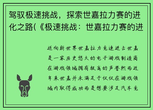 驾驭极速挑战，探索世嘉拉力赛的进化之路(《极速挑战：世嘉拉力赛的进化之路》续写)